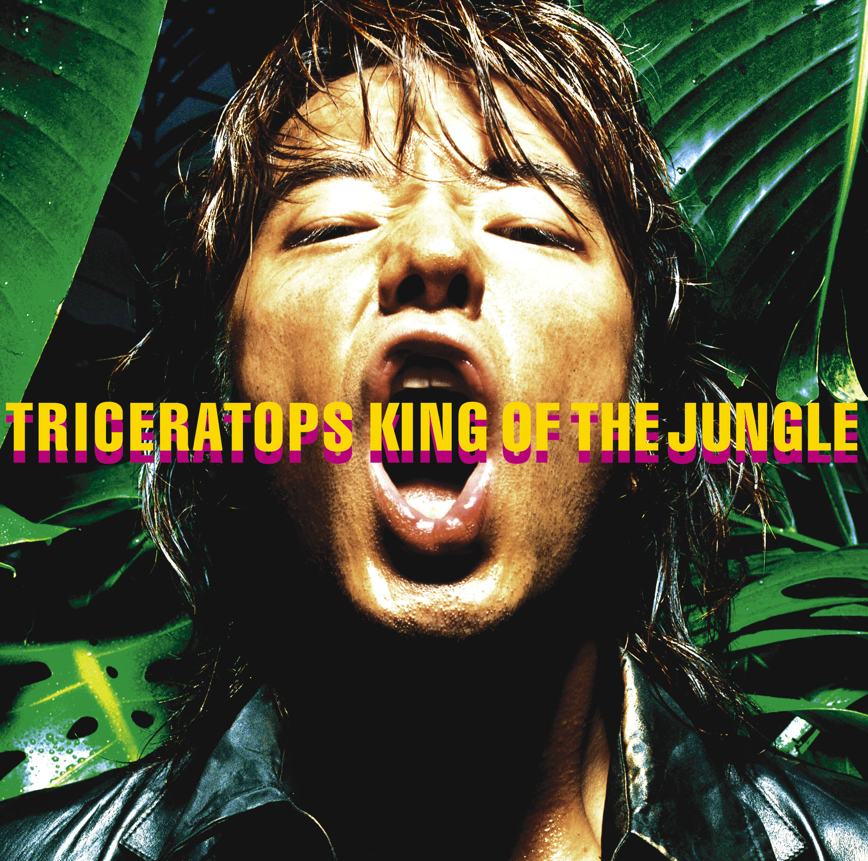 KING OF THE JUNGLE