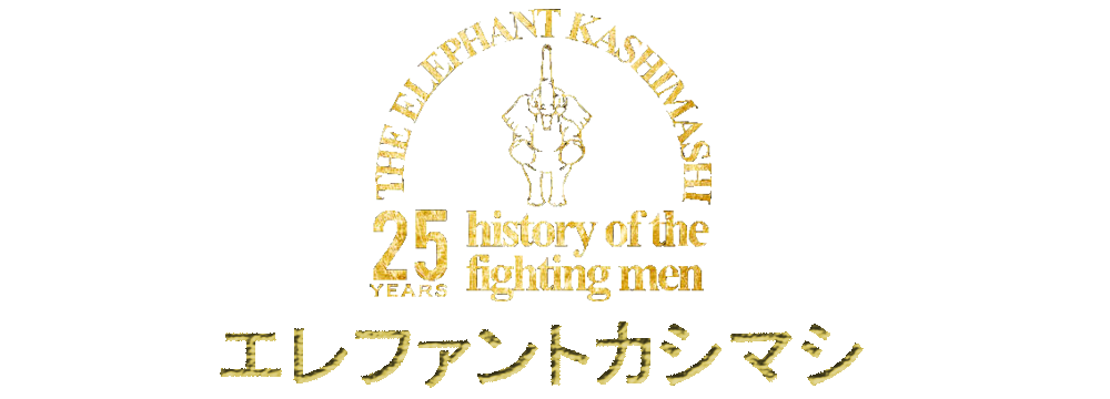 25 years history of the fighting men