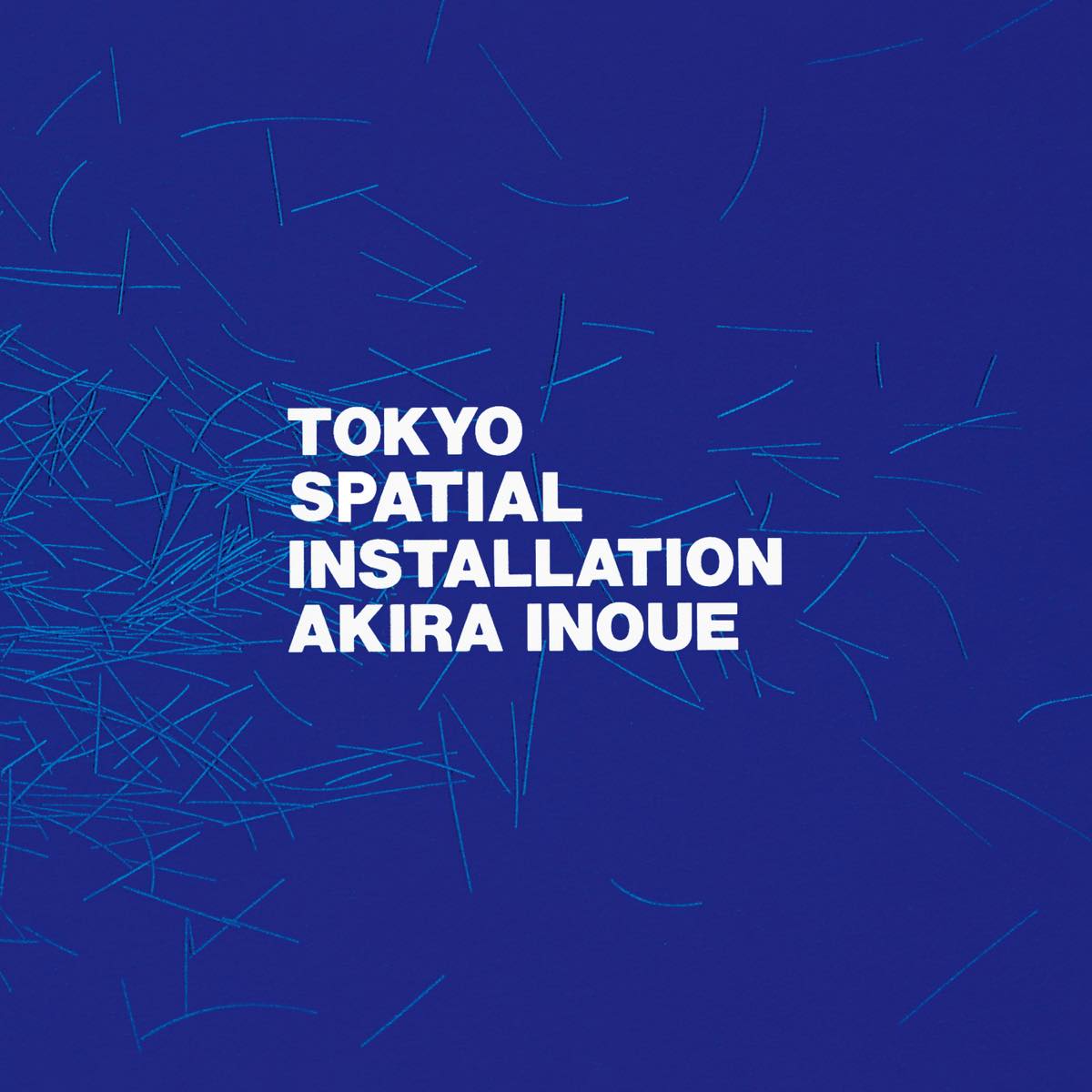 TM 井上 鑑　『TOKYO SPATIAL INSTALLATION』