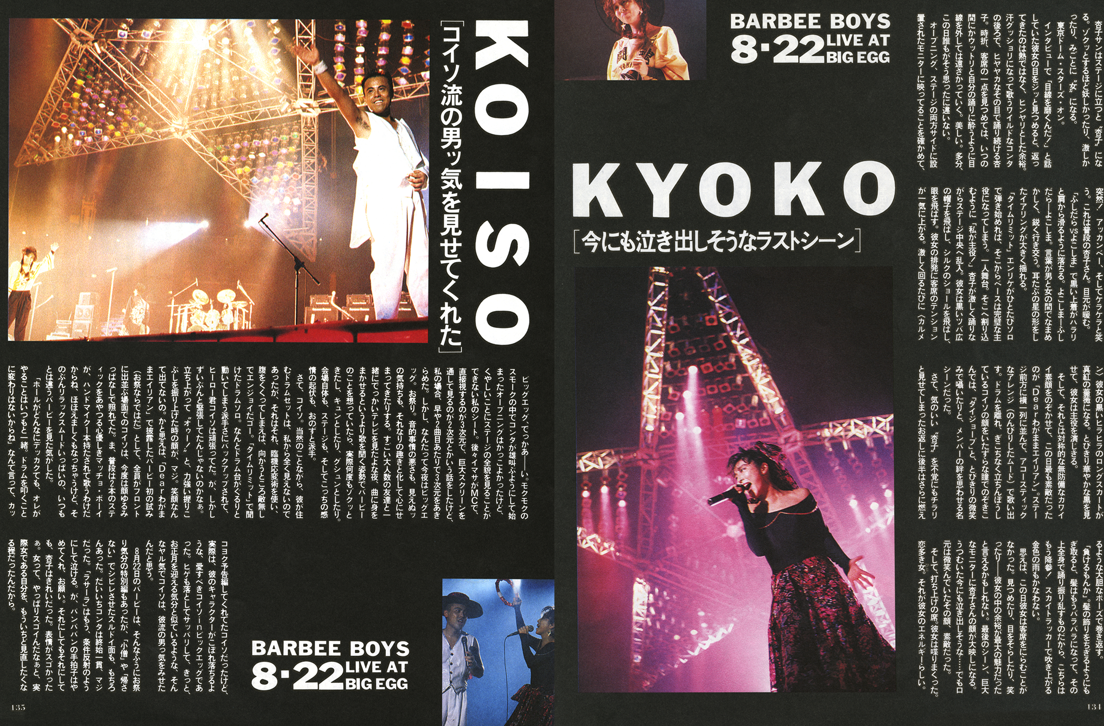 BOOK中身公開！『BARBEE BOYS IN TOKYO DOME 1988. 08.22』