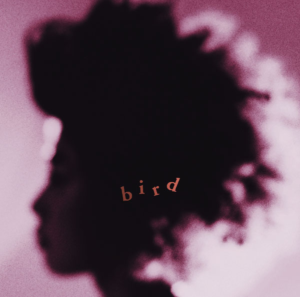 bird bird 