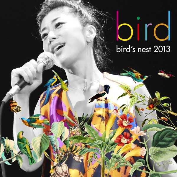 bird bird’s nest 2013