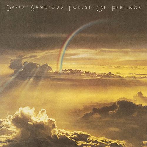 デイヴィッド・サンシャス 『フォレスト・オブ・フィーリングス』David Sancious　「Forest Of Feelings」