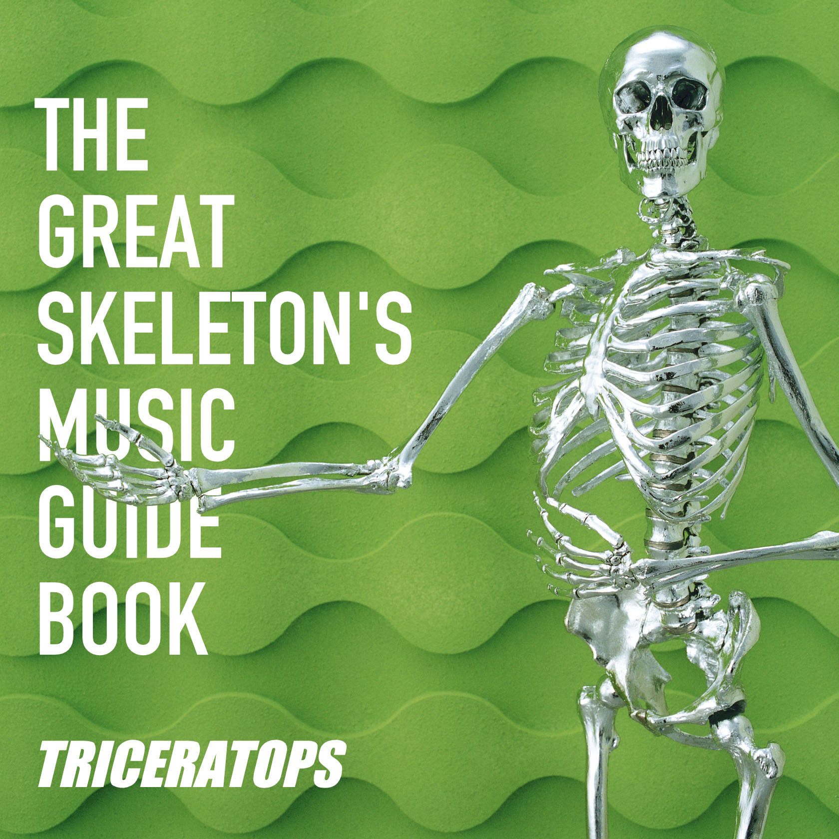 THE GREAT SKELTON'S MUSIC GUIDE BOOK